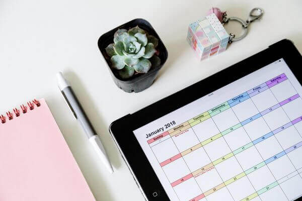 This is an image of a desk with a pen, pink notebook and calendar pictured. There's also a green succulent and a Rubik's cube keychain on the desk.