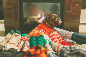 Holiday deals on gifts for your pets
