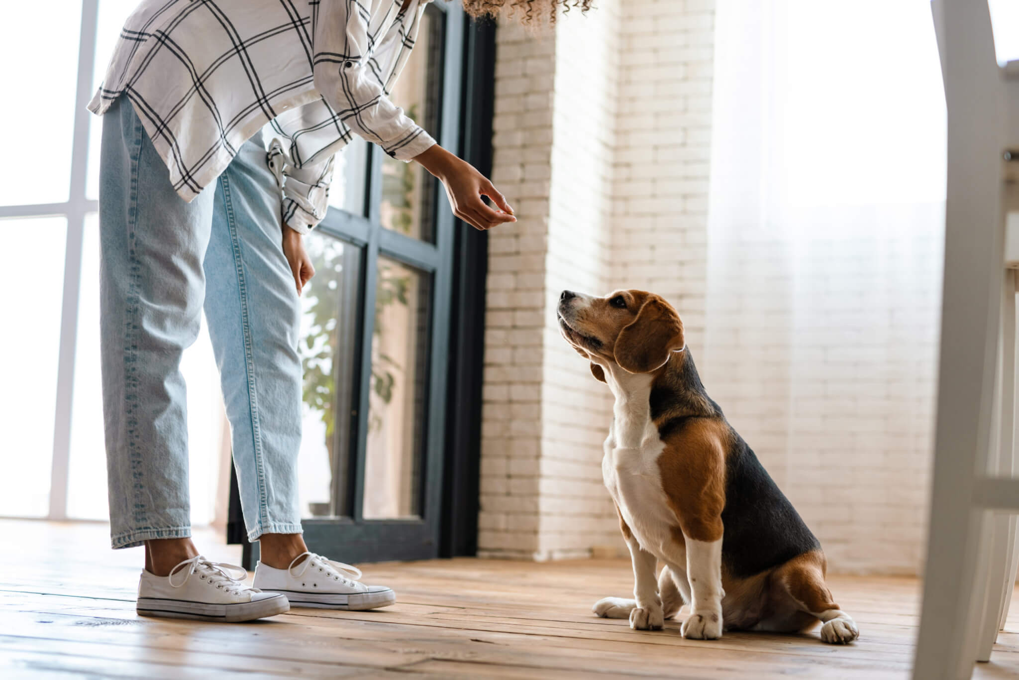 5 Habits to Keep Your Pets and Savings Happy