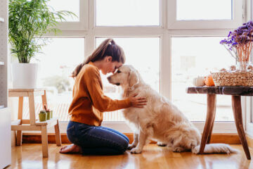 pets can reduce stress and improve mental health