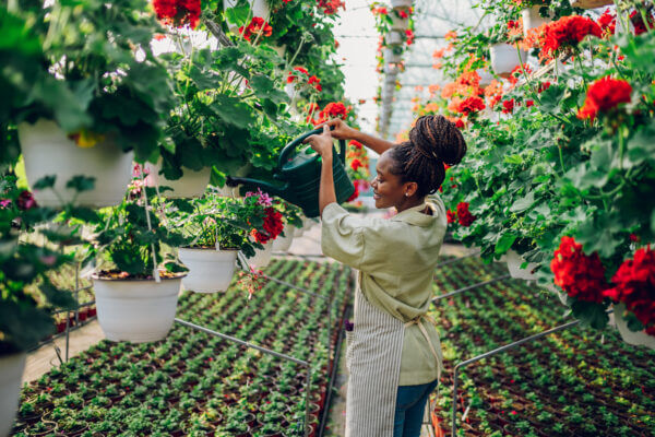 A woman watering flowering plants in a greenhouse; This article explores the best side gigs