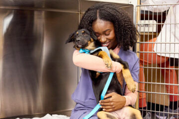 A woman in scrubs at a vet office hugs a medium sized dog.