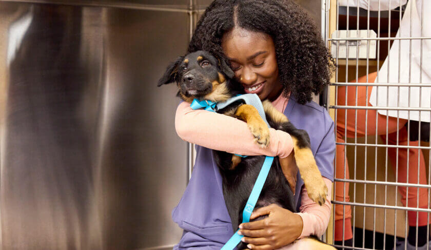 A woman in scrubs at a vet office hugs a medium sized dog.